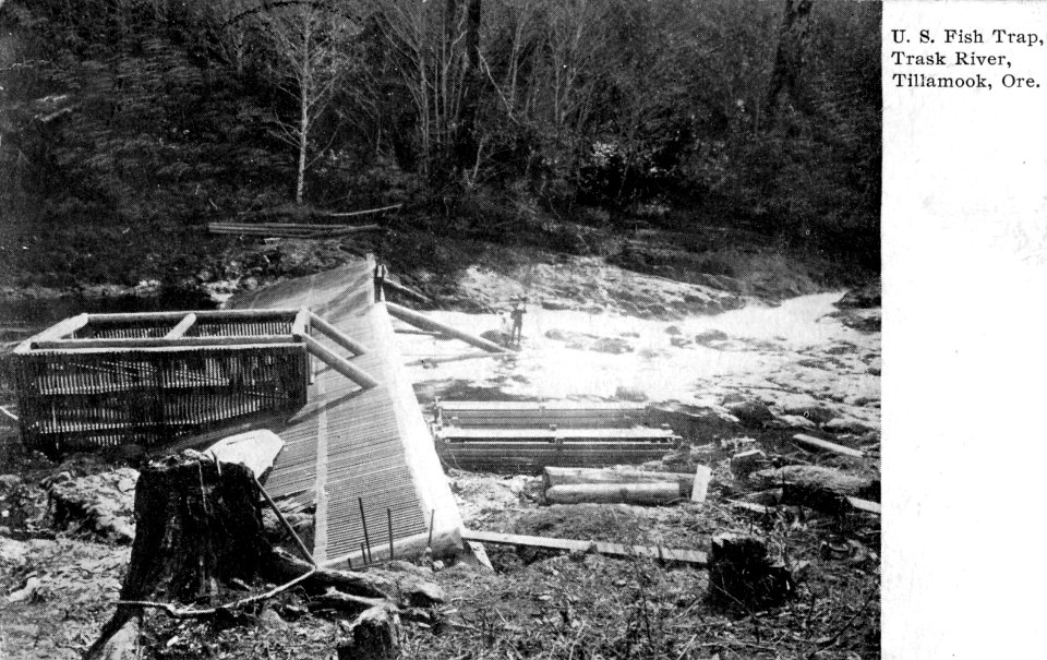 U.S. Fish Trap, Trask River, Tillamook, Ore.
