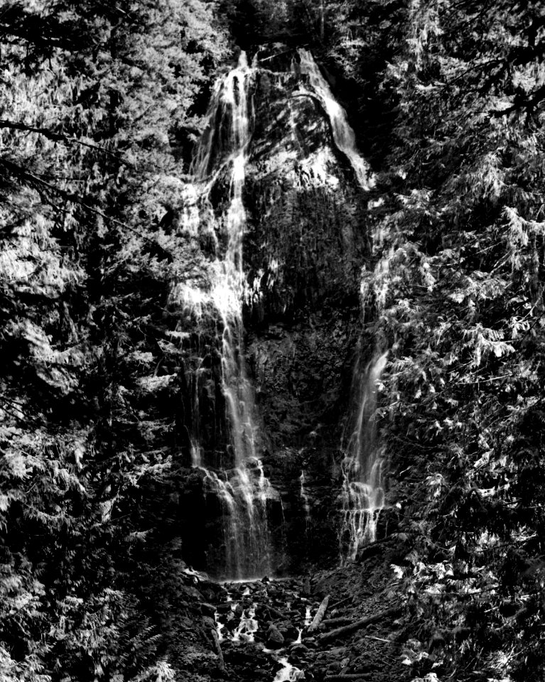 Willamette NF - Lower Proxy Falls, OR 1979