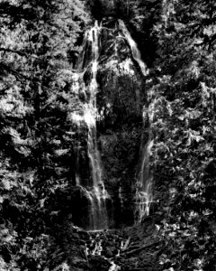 Willamette NF - Lower Proxy Falls, OR 1979 photo