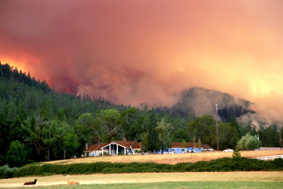 103 Rogue River-Siskiyou National Forest Biscuit Fire