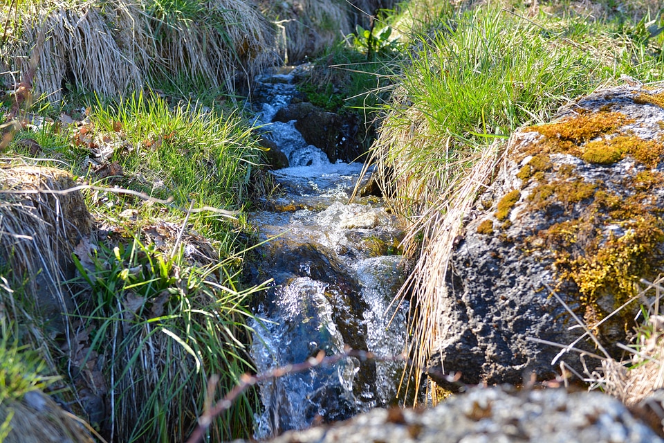 Water running water nature