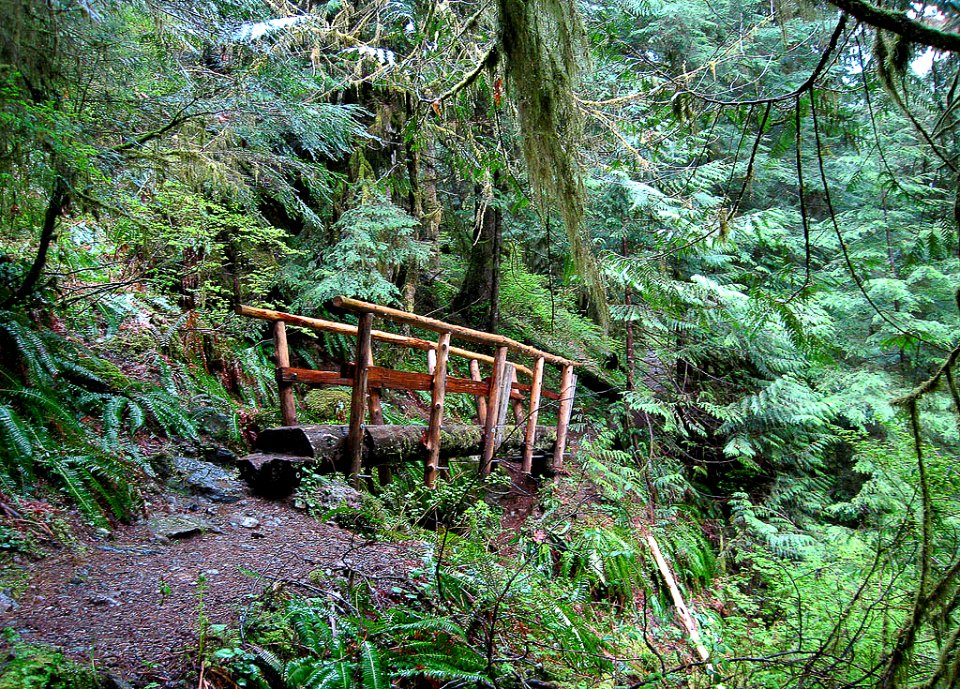 Log Footbridge on the Boulder River Wilderness, Mt Baker Snoqualmie National Forest