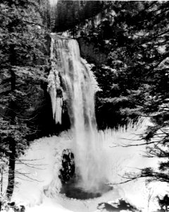 507445 Salt Creek Falls, Willamette NF, OR 1964 photo