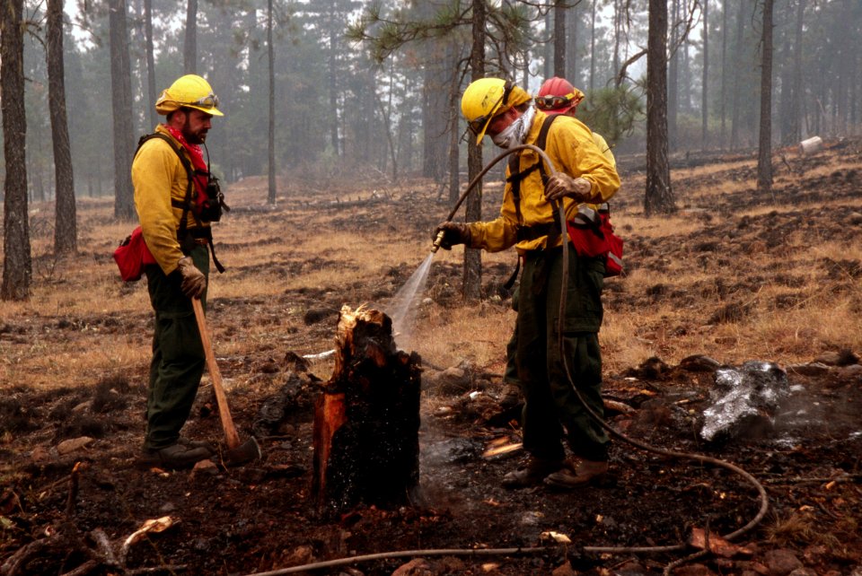 225 Rogue River-Siskiyou National Forest Biscuit Fire