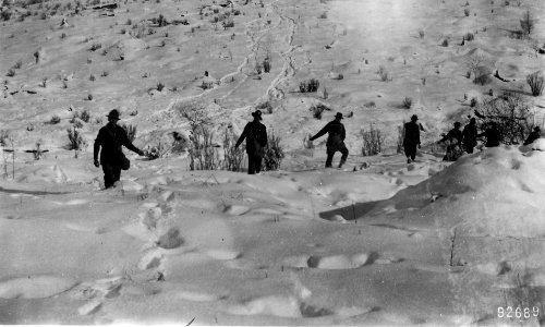 92689 Mt. Hebo Spruce Seeding, Siuslaw NF, OR 1911 photo