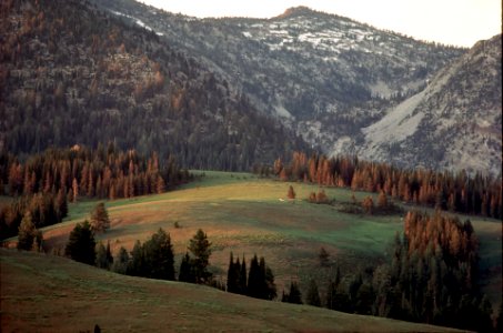 Meadow in the Eagle Cap Wilderness, Wallowa Whitman National Forest photo