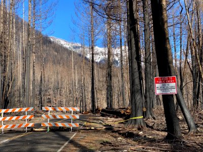 Road closed sign