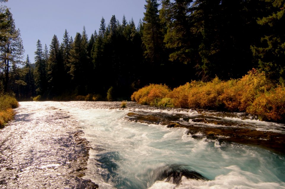 Fall at Wizard Falls-Deschutes