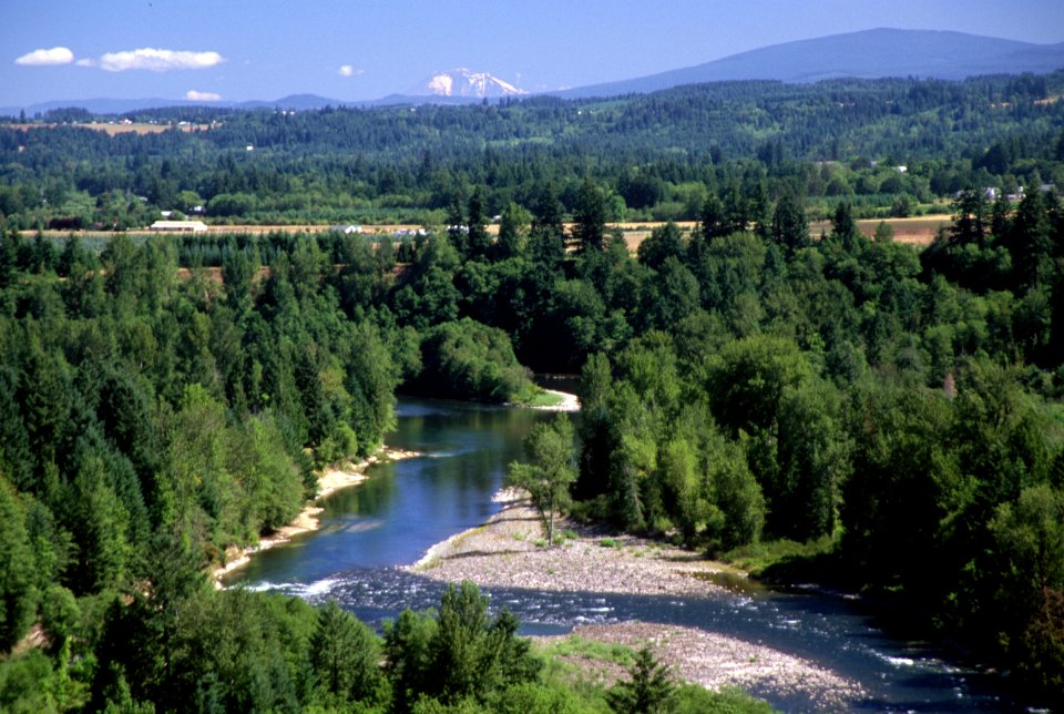 Clackamas River, Mt Hood National Forest-2-2.jpg