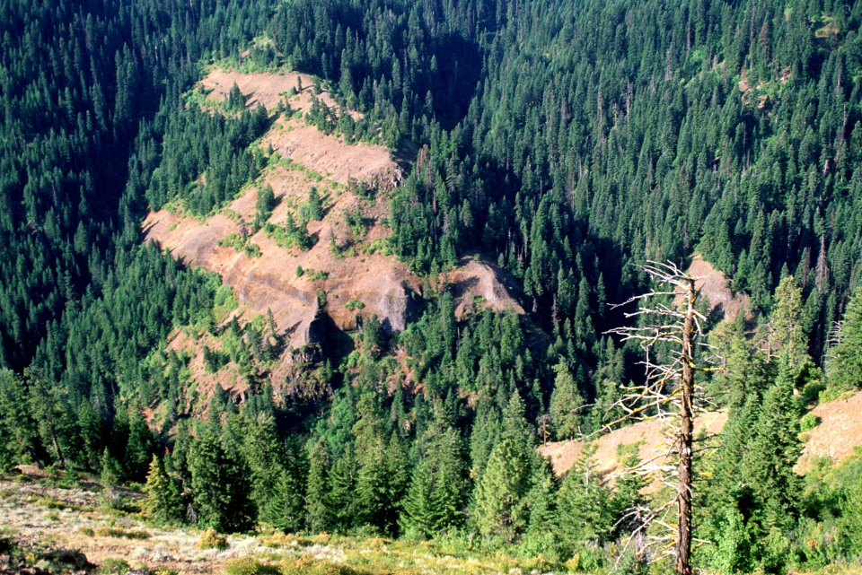 Looking Glass Canyon, Umatilla National Forest.jpg