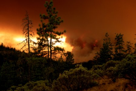 102 Rogue River-Siskiyou National Forest Biscuit Fire photo