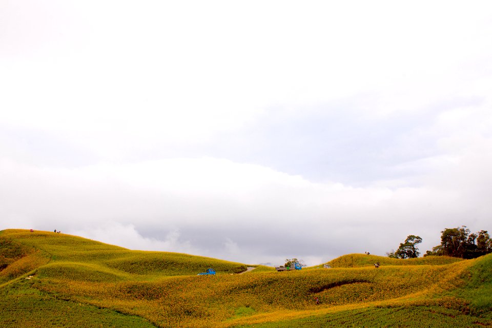 花蓮六十石山