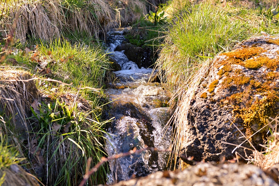 Water running water nature