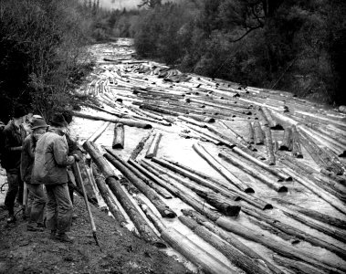 Log Drive by Coos Bay LC on E Fork Coquille River, OR.JPG photo