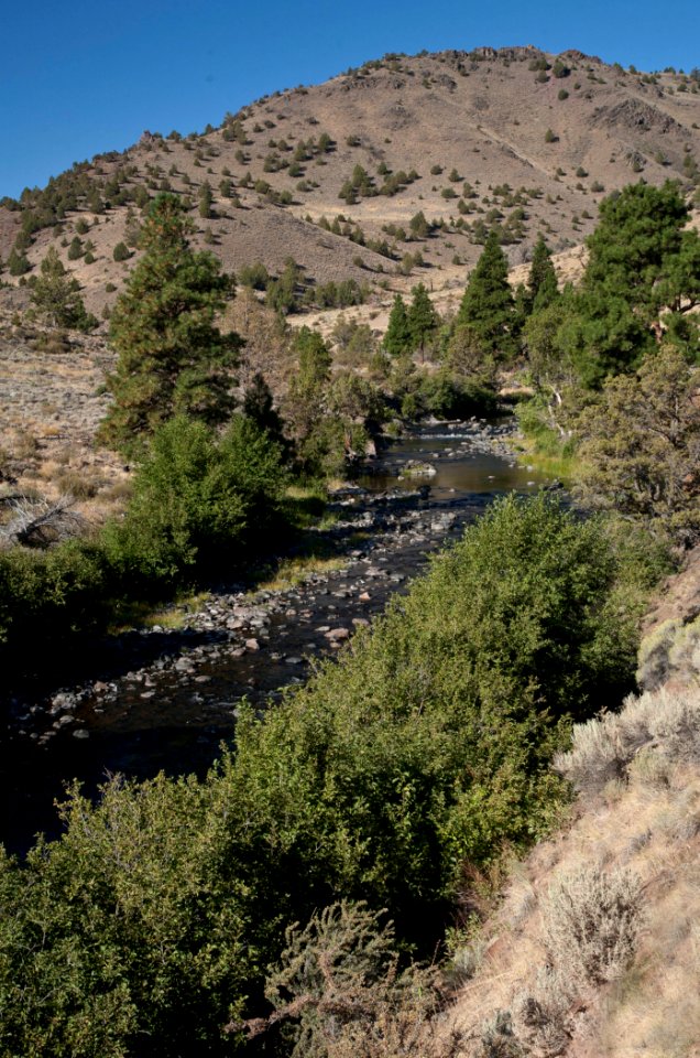 Lower Chewaucan River-Fremont Winema