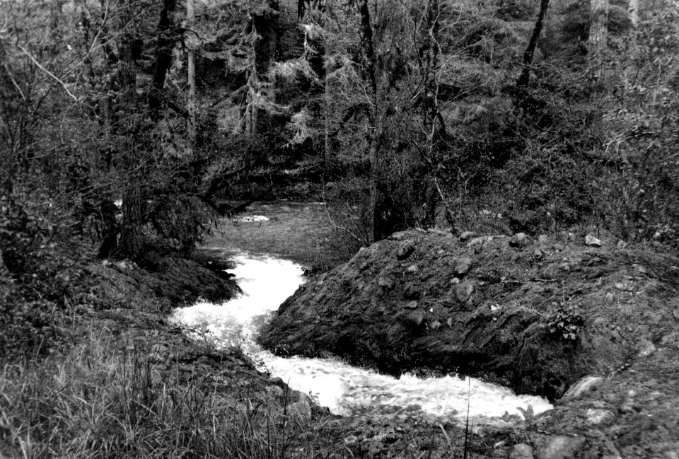 Willamette NF - Tailrace from Falls Creek Hydro Plant, OR 1994