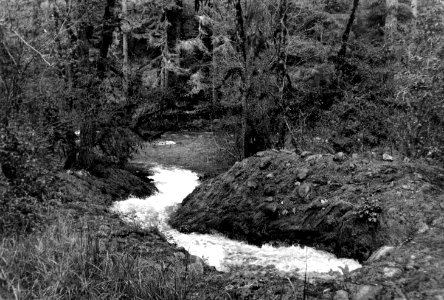 Willamette NF - Tailrace from Falls Creek Hydro Plant, OR 1994 photo