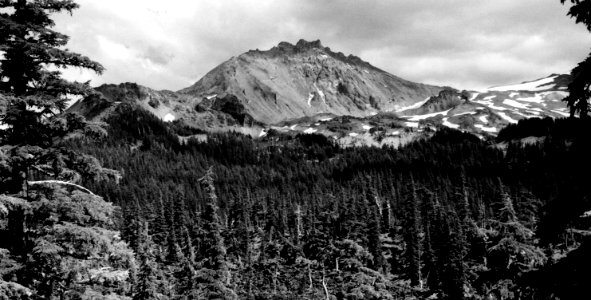 Willamette NF - North Sister, OR 1979 photo