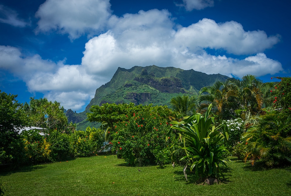 French polynesia exotic nature