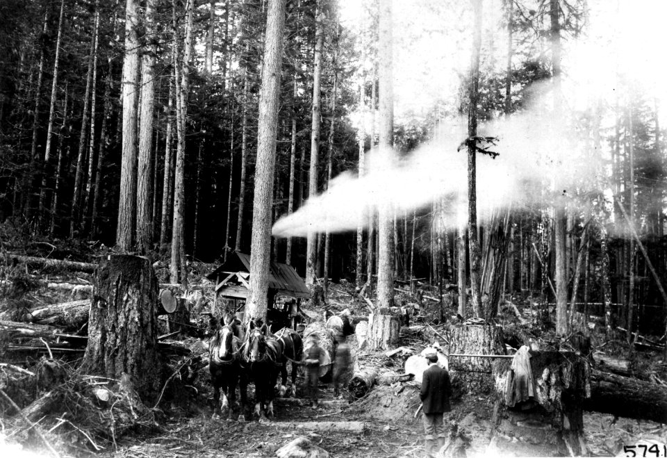 5741 Donkey Engine Logging, Western WA 1901