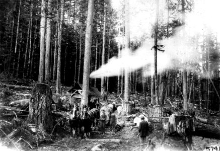 5741 Donkey Engine Logging, Western WA 1901