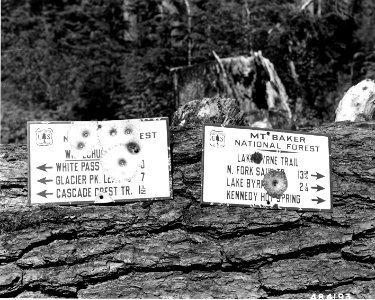 484193 Signs Destroyed, Mt. Baker NF, WA 1955 photo