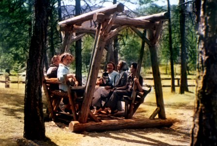 Rogue River National Forest, McKee Forest Camp swing