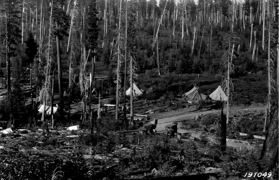 191049 Fire Camp