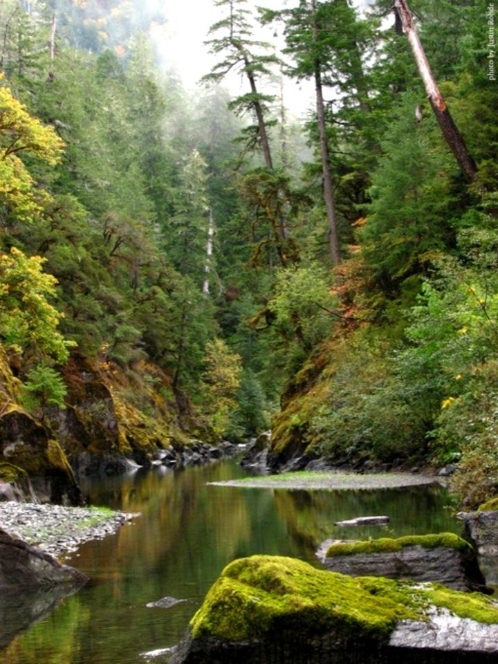 Canyon in the Copper Salmon Wilderness, Rogue River Siskiyou National Forest