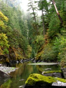 Canyon in the Copper Salmon Wilderness, Rogue River Siskiyou National Forest photo