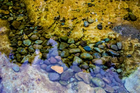 Rocks in Stream at Three Pools-Willamette photo