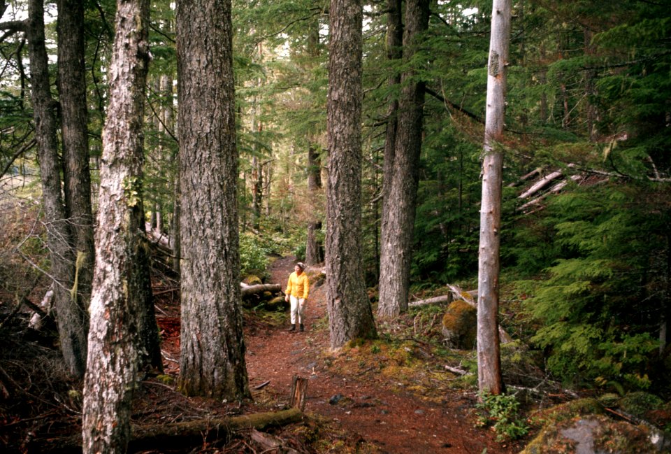 Mt Hood National Forest, hiking.jpg