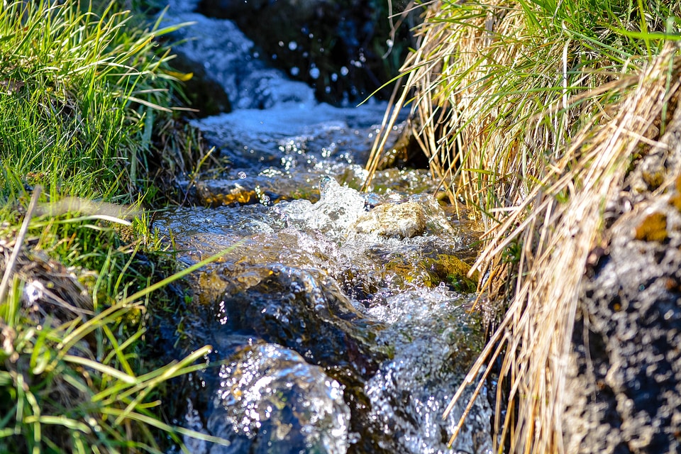 Water running water nature
