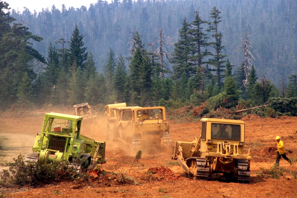 235 Rogue River-Siskiyou National Forest, Biscuit Fire