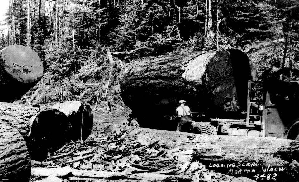4482 Logging Scene, Morton, Wash