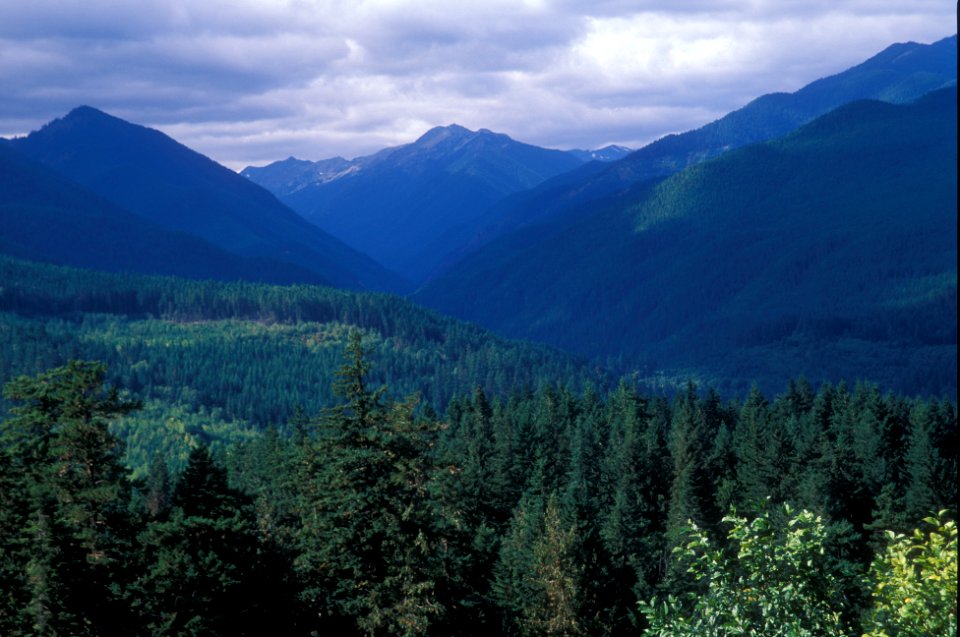 Dungeness River Watershed, Olympic National Forest