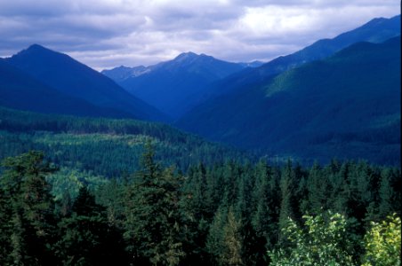 Dungeness River Watershed, Olympic National Forest