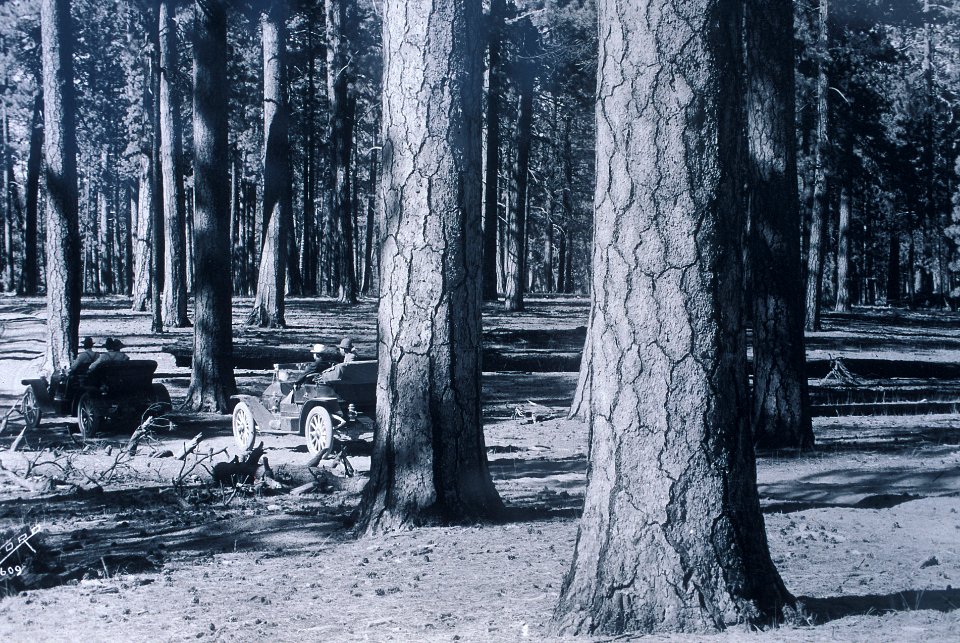 Turn of Century Deschutes National Forest