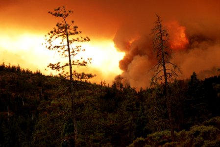 109 Rogue River-Siskiyou National Forest Biscuit Fire