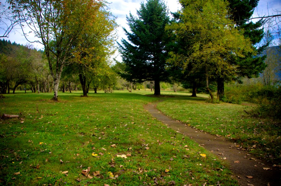 Path at St Cloud Day Use Area-Columbia River Gorge
