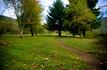 Path at St Cloud Day Use Area-Columbia River Gorge