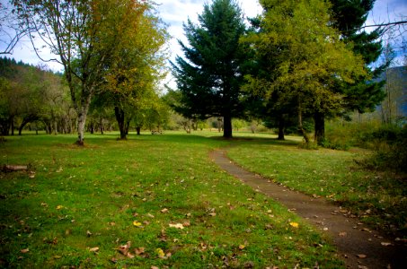 Path at St Cloud Day Use Area-Columbia River Gorge photo