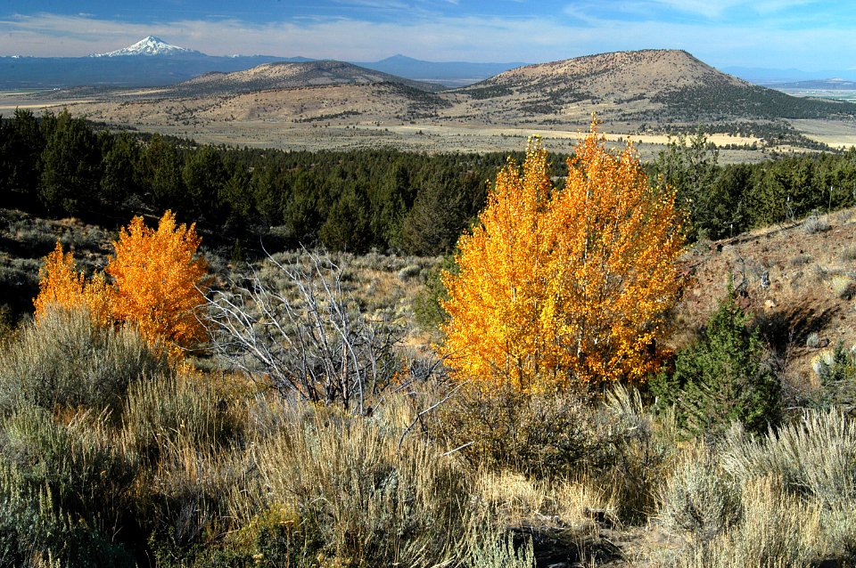 Crooked River National Grassland in Fall-Ochoco