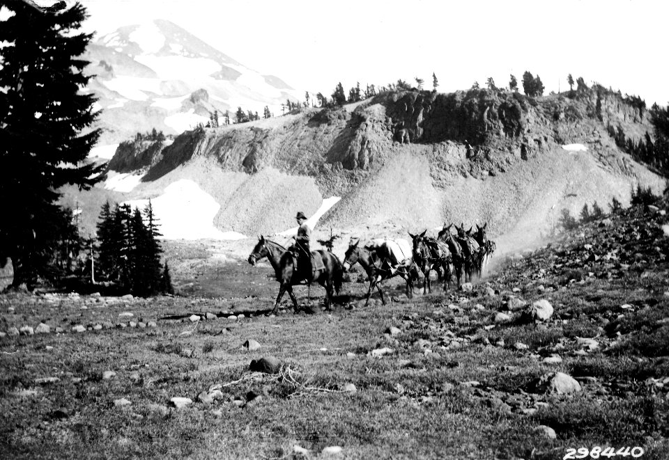 298440 Scott Camp, Three Sisters, Willamette NF, OR 1934