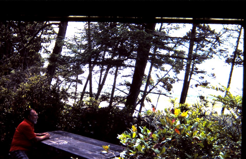 man picnictable