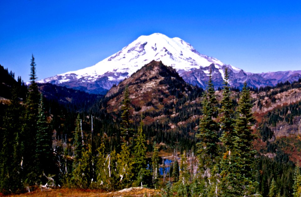William O. Douglas Wilderness-Gifford Pinchot