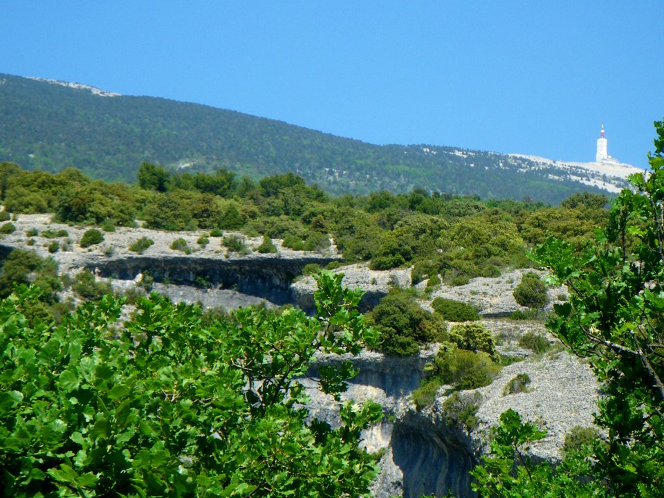 Combe Curnier  Mt Ventoux sud