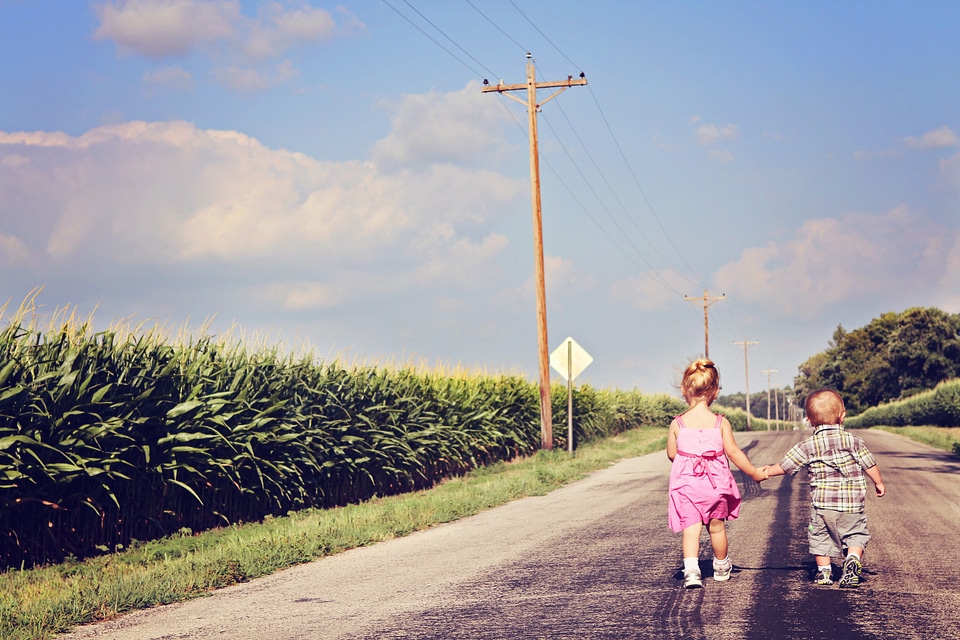 Rural cornfield holding hands
