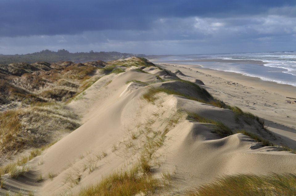 Oregon Dunes National Recreation Area, Siuslaw National Forest