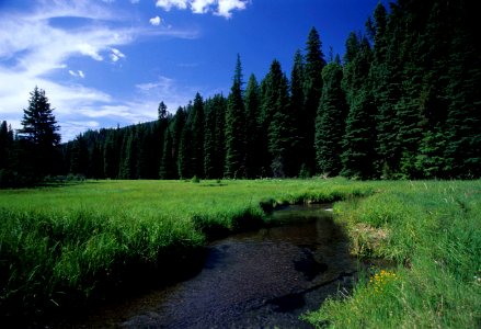 Middle Fork of John Day River-Malheur photo